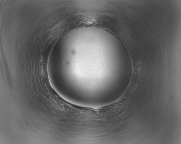 X0000078271442200611031130