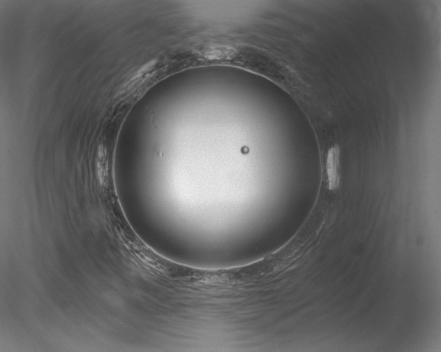 X0000078271443200611031130