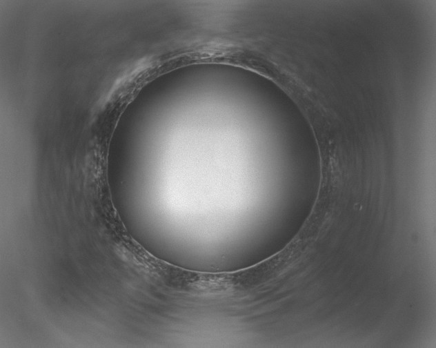X0000078271447200611031130