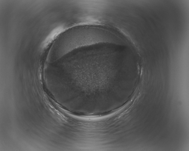 X0000078271455200611031130