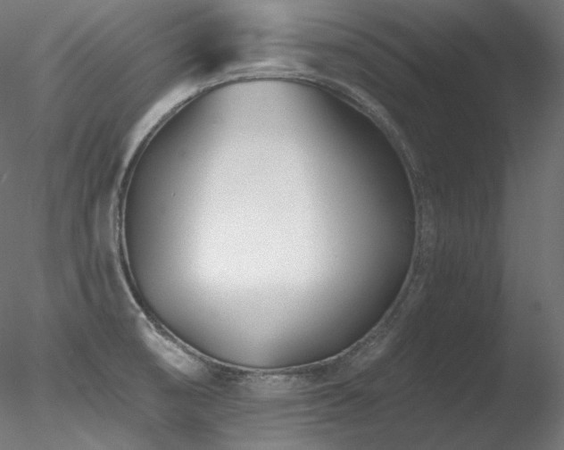 X0000078271474200611031130