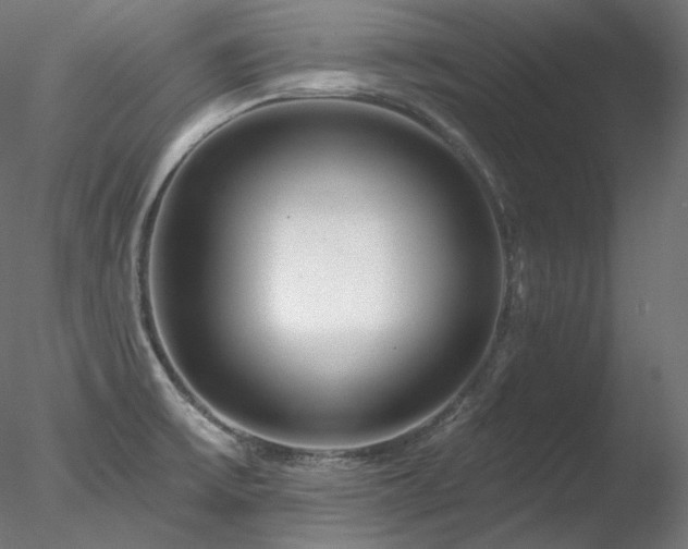 X0000078271475200611031130