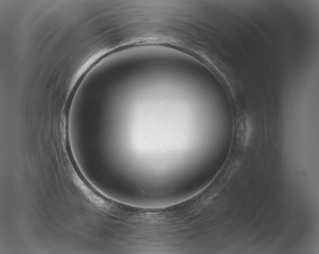X0000078271476200611031129