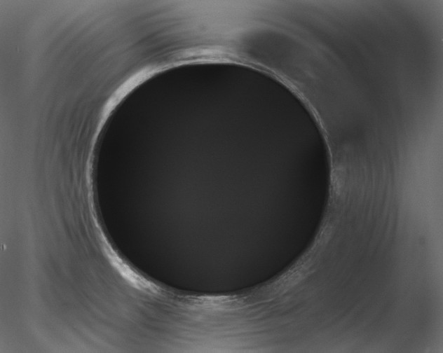 X0000078271482200611031129