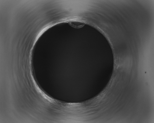 X0000078271483200611031129