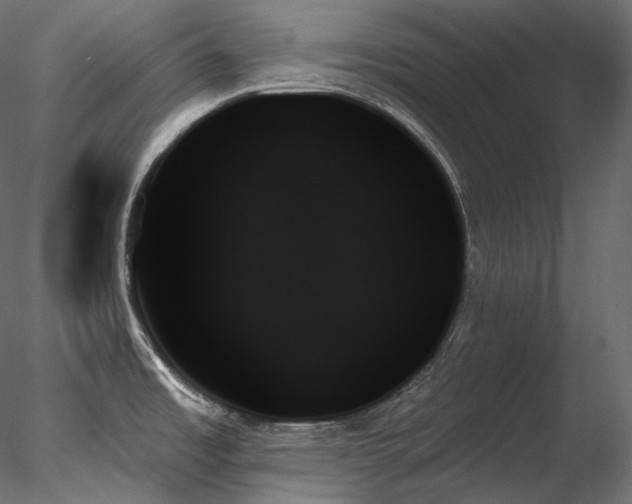 X0000078271485200611031129