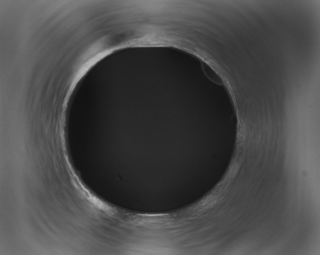 X0000078271486200611031129