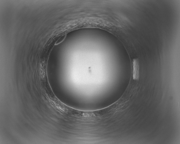 X0000078271491200611031129