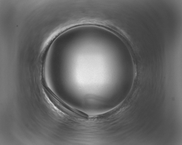 X0000078271504200611031129