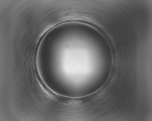 X0000078271513200611031129