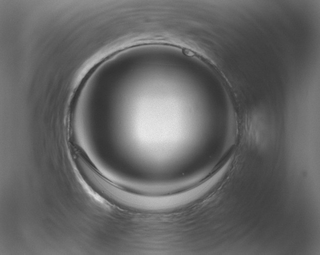 X0000078271519200611031129