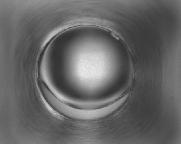 X0000078271523200611031129