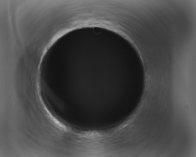 X0000078271525200611031129