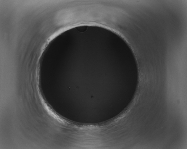 X0000078271526200611031129