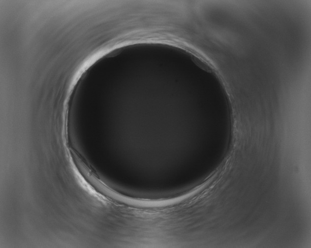X0000078271528200611031129