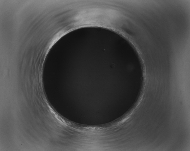 X0000078271529200611031129