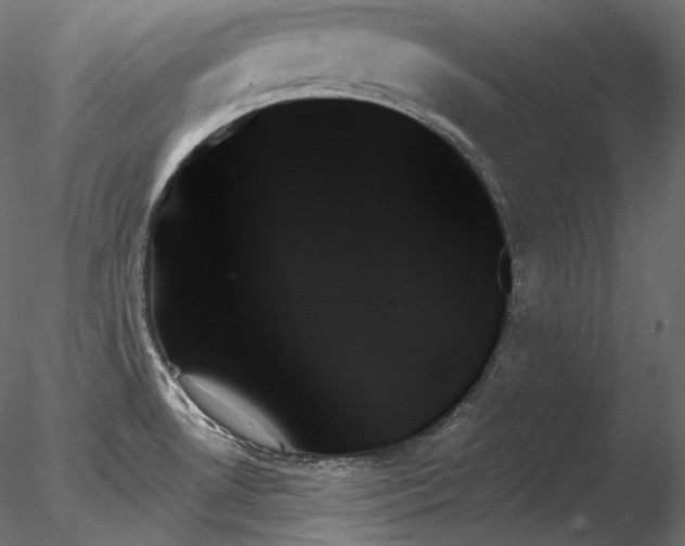X0000078271530200611031129