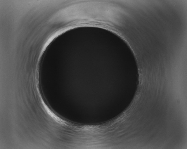 X0000078271531200611031129