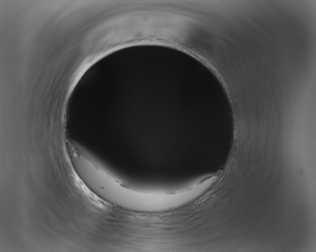 X0000078271532200611031129