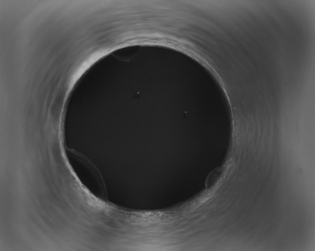 X0000078271533200611031129