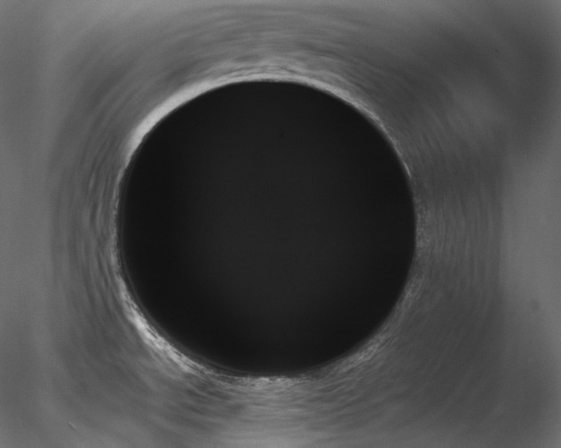 X0000078271534200611031129