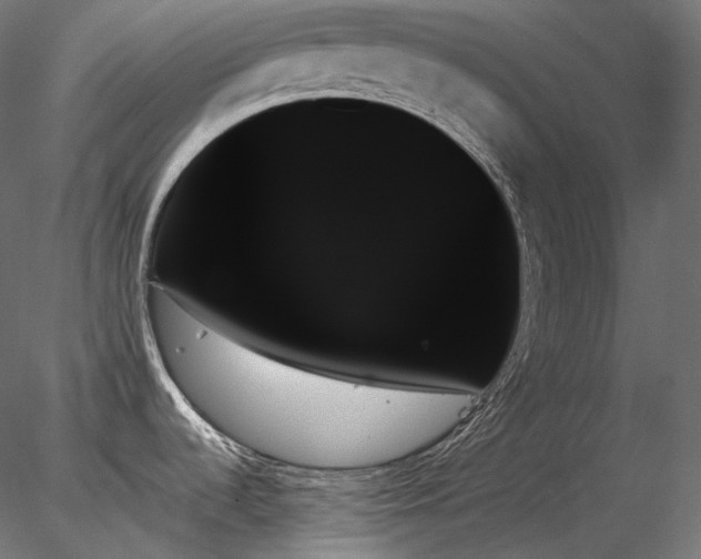 X0000078271536200611031129