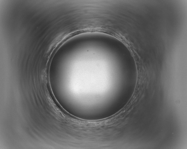X0000078270002200611101119