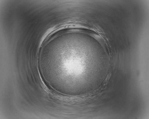 X0000078270003200611101119