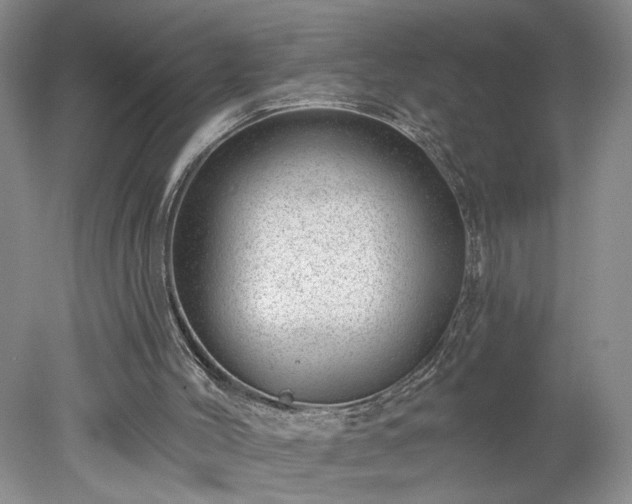 X0000078270004200611101119
