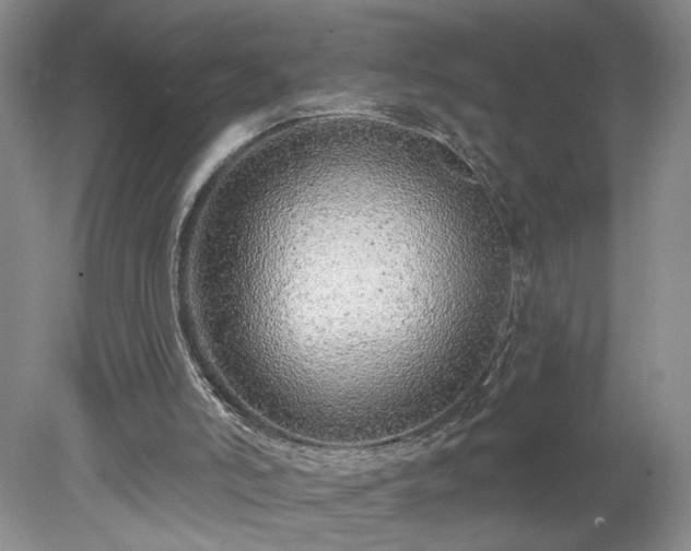 X0000078270006200611101119