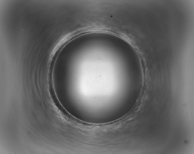 X0000078270007200611101119