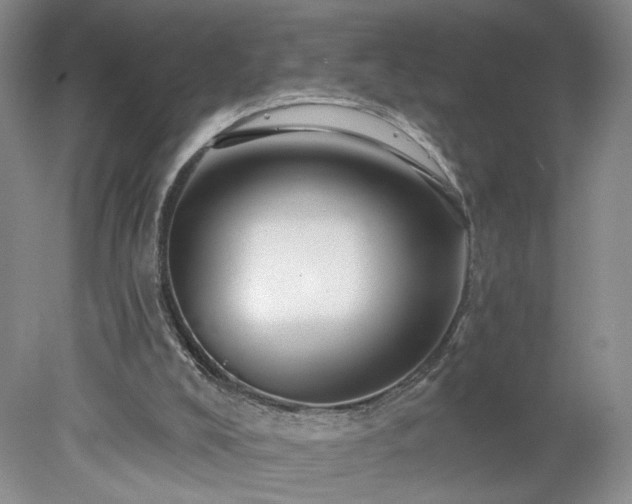 X0000078270008200611101119