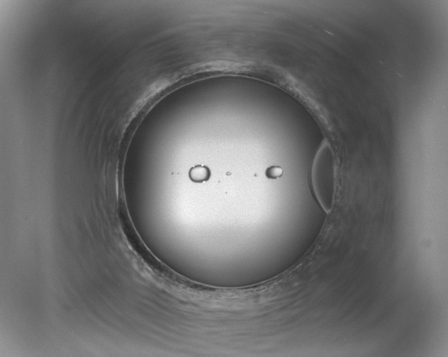 X0000078270011200611101119