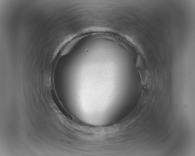 X0000078270015200611101119
