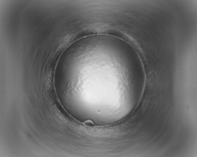 X0000078270018200611101119