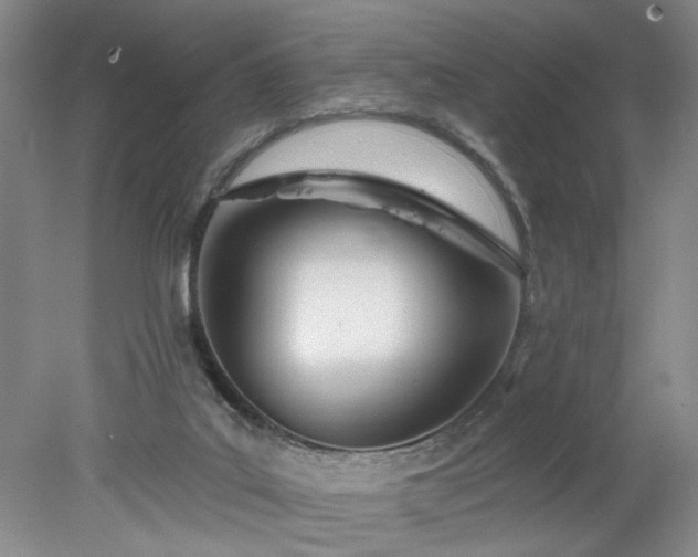 X0000078270019200611101119