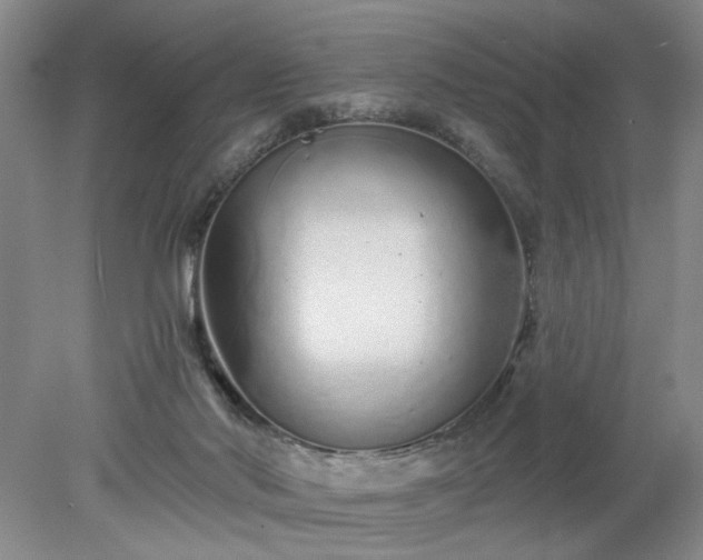 X0000078270022200611101119