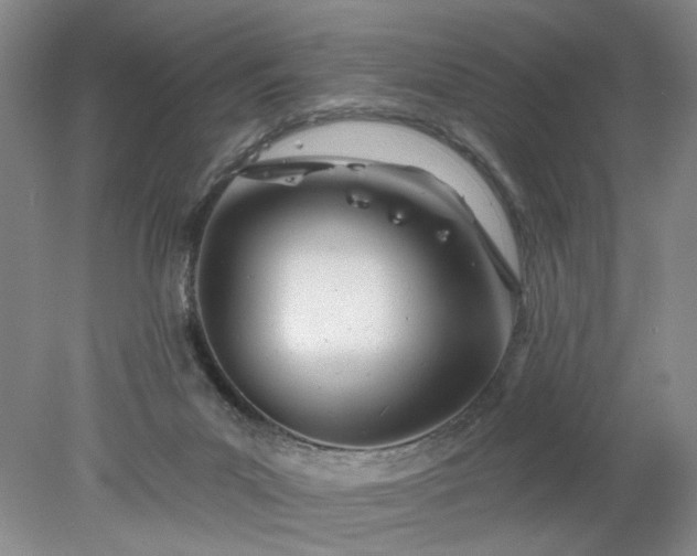 X0000078270023200611101119