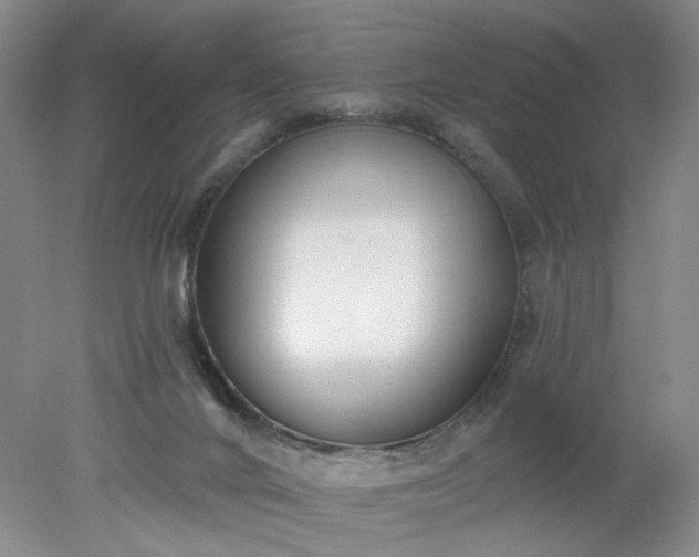 X0000078270024200611101119