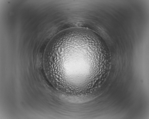X0000078270030200611101119