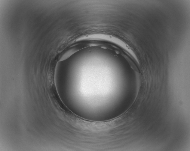 X0000078270031200611101119