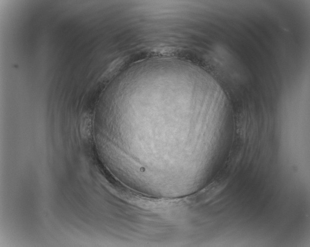 X0000078270036200611101119