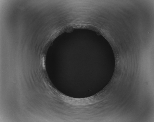 X0000078270042200611101119