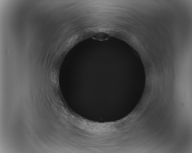 X0000078270044200611101119