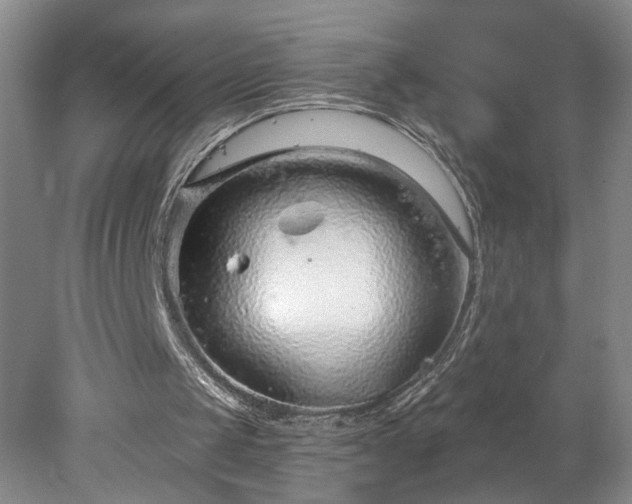 X0000078270049200611101118