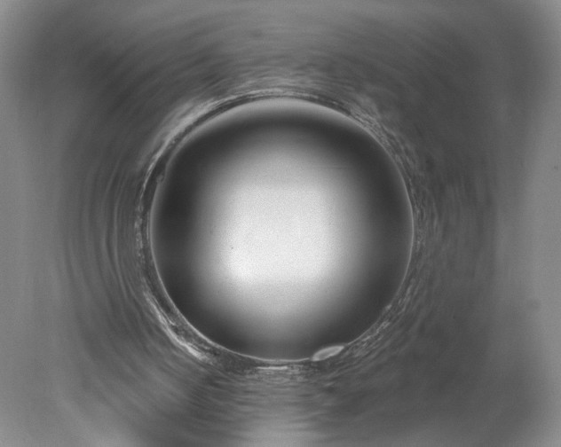 X0000078270050200611101118