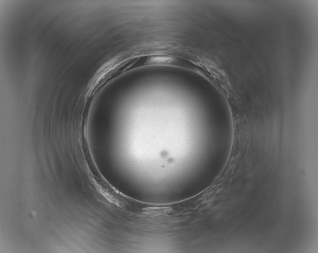 X0000078270051200611101118