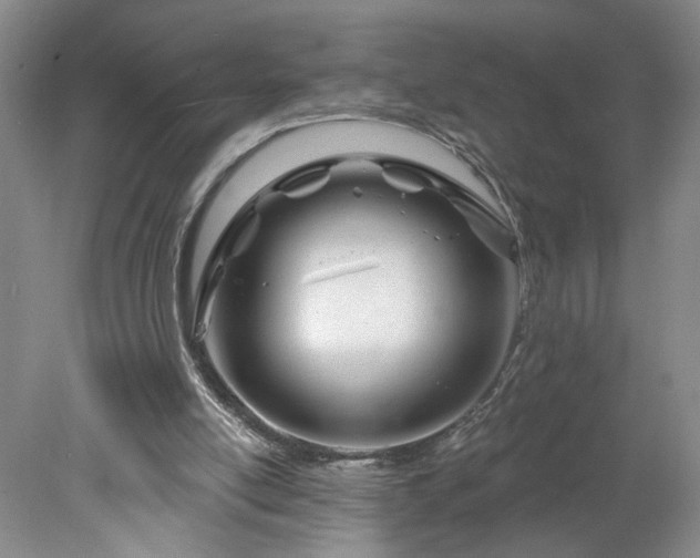 X0000078270054200611101118