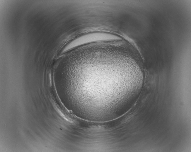 X0000078270061200611101118