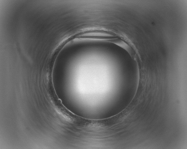 X0000078270063200611101118